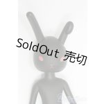 画像: うさぎぃ/025 I-25-12-14-143-KD-ZI