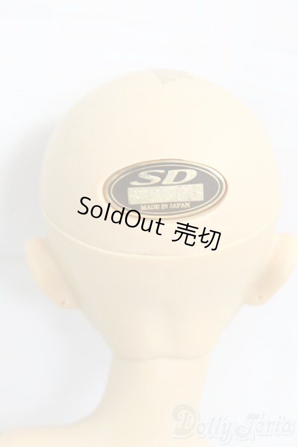 画像4: SD/フルチョイス F-35 I-25-12-14-252-KD-ZI (4)