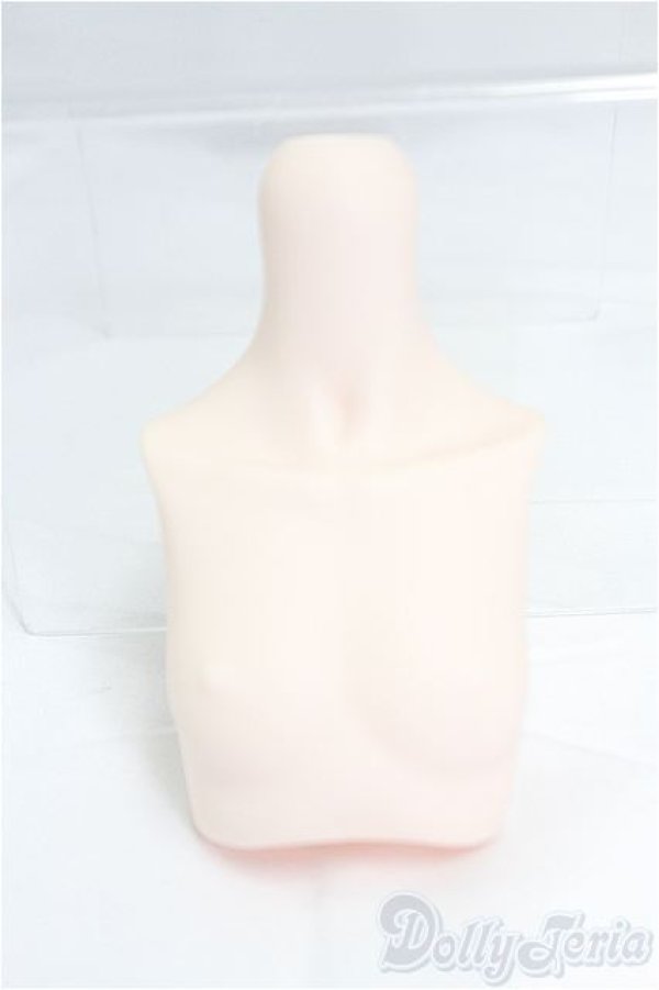 画像1: MDD上半身パーツ I-25-12-14-089-KD-ZI (1)