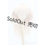 画像: 9-10inch/ウィッグ I-25-12-14-244-KD-ZI