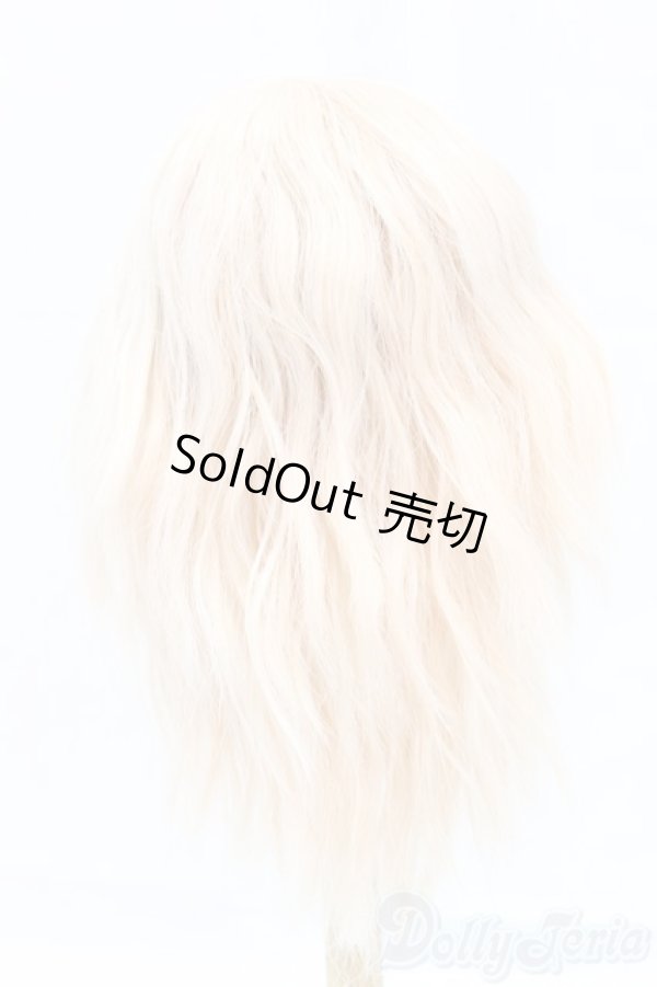 画像2: 9-10inch/ウィッグ I-25-12-14-244-KD-ZI (2)