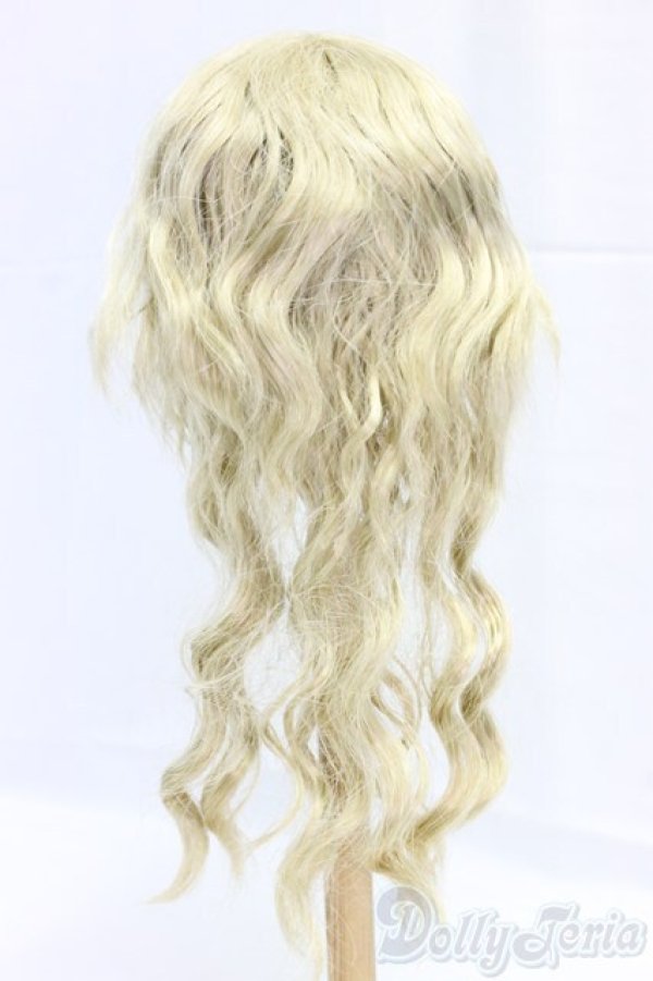 画像2: 9-10inch/ウィッグ I-25-12-14-245-KD-ZI (2)