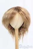 画像1: 9-10inch/ウィッグ I-25-12-14-247-KD-ZI (1)