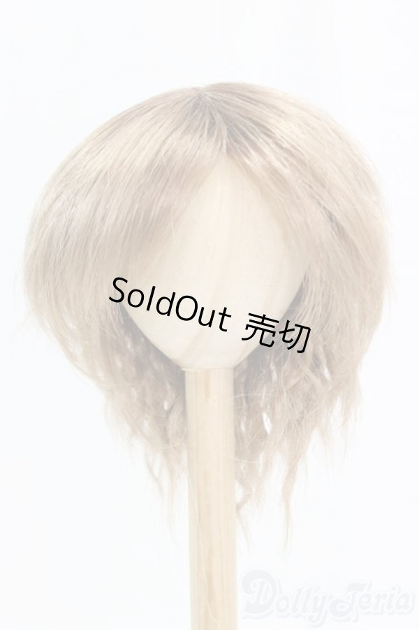 画像1: 9-10inch/ウィッグ I-25-12-14-247-KD-ZI (1)