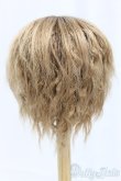 画像2: 9-10inch/ウィッグ I-25-12-14-247-KD-ZI (2)