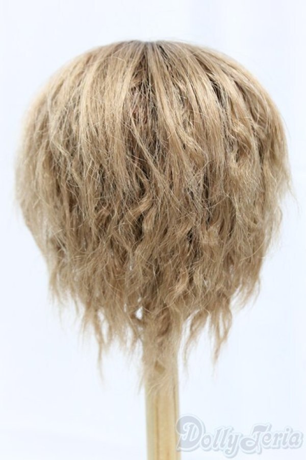 画像2: 9-10inch/ウィッグ I-25-12-14-247-KD-ZI (2)