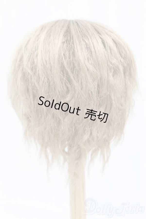 画像2: 9-10inch/ウィッグ I-25-12-14-247-KD-ZI (2)