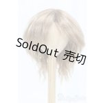 画像: 9-10inch/ウィッグ I-25-12-14-248-KD-ZI