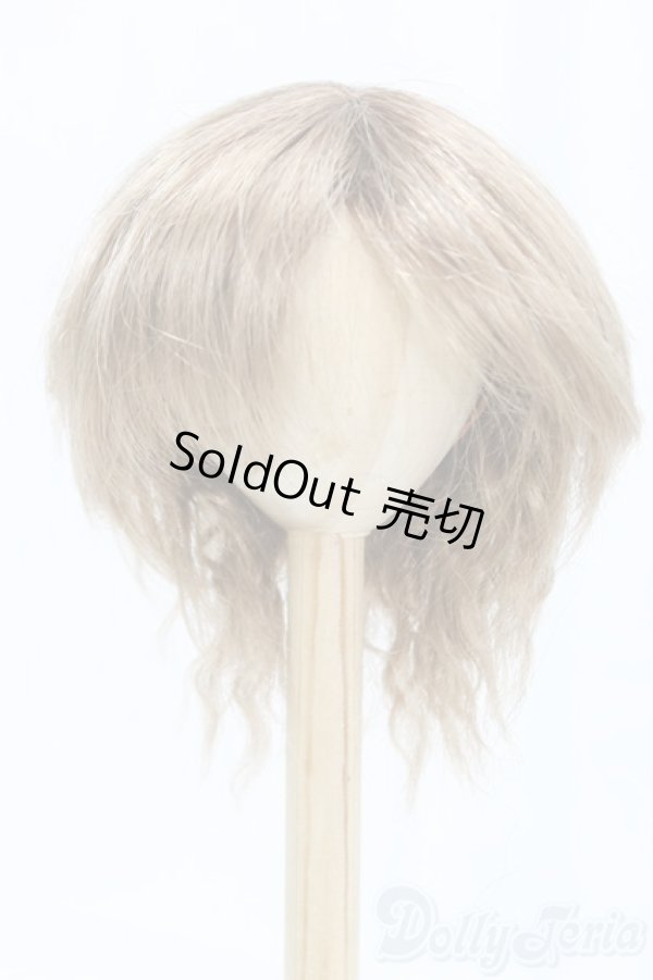 画像1: 9-10inch/ウィッグ I-25-12-14-248-KD-ZI (1)