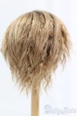 画像2: 9-10inch/ウィッグ I-25-12-14-248-KD-ZI (2)