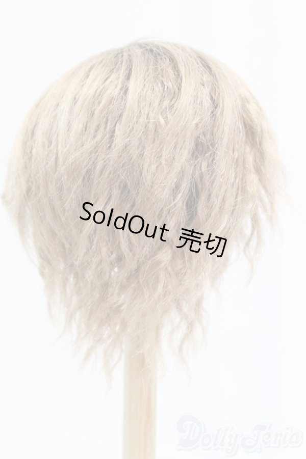 画像2: 9-10inch/ウィッグ I-25-12-14-248-KD-ZI (2)