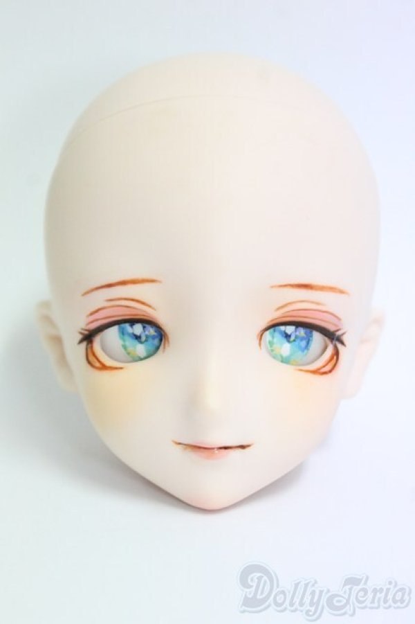 画像1: DDH-09カスタムヘッド I-25-12-14-260-KD-ZI (1)