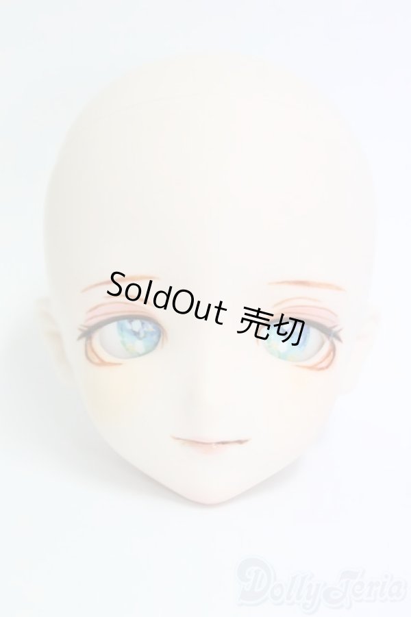 画像1: DDH-09カスタムヘッド I-25-12-14-260-KD-ZI (1)