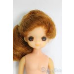 画像: リカちゃん/かんごふさんのひとみちゃん I-25-12-14-264-KD-ZI