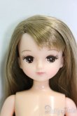 画像1: リカちゃんキャッスル/きらちゃん/BJD　球体関節人形 I-25-12-21-102-KD-ZI (1)