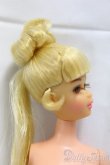 画像2: Barbie/ヴィンテージフランシー I-25-12-21-207-KD-ZI (2)