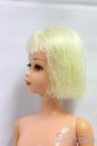 画像3: Barbie/ヴィンテージフランシー I-25-12-21-208-KD-ZI (3)
