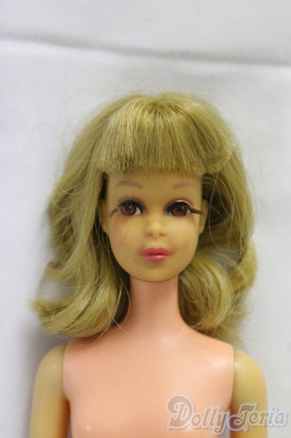 画像1: Barbie/ヴィンテージフランシー I-25-12-21-206-KD-ZI (1)