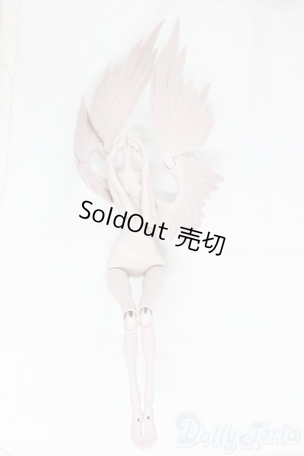 画像5: Doll Chateau/Medusa/BJD　球体関節人形 I-25-12-21-300-KD-ZI (5)