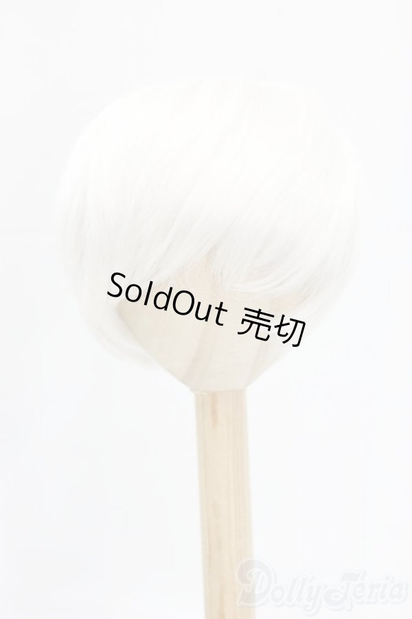 画像1: 8-9inch/ウィッグ I-25-12-28-098-KD-ZI (1)