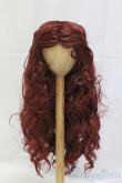 画像1: 9-10inch/ウィッグ/インチ　BJD　MJD　ドール用 I-26-01-04-190-KD-ZI (1)