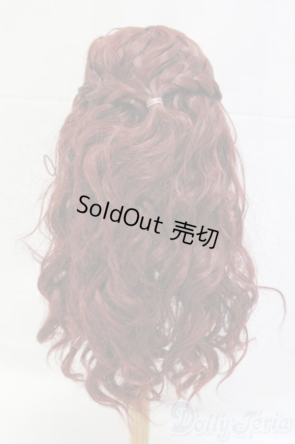 画像2: 9-10inch/ウィッグ/インチ　BJD　MJD　ドール用 I-26-01-04-190-KD-ZI (2)