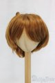画像: 9-10inch/ウィッグ/インチ　BJD　MJD　ドール用 I-26-01-04-195-KD-ZI