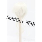 画像: 9-10inch/ウィッグ/インチ　BJD　MJD　ドール用 I-26-01-04-193-KD-ZI