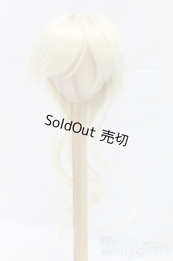 画像1: 9-10inch/ウィッグ/インチ　BJD　MJD　ドール用 I-26-01-04-193-KD-ZI (1)