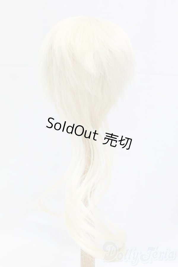 画像2: 9-10inch/ウィッグ/インチ　BJD　MJD　ドール用 I-26-01-04-193-KD-ZI (2)