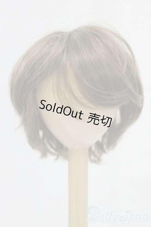 画像1: 8-9inch/ウィッグ/インチ　BJD　MJD　ドール用 I-25-12-28-148-KD-ZI (1)