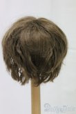 画像2: 8-9inch/ウィッグ/インチ　BJD　MJD　ドール用 I-25-12-28-148-KD-ZI (2)