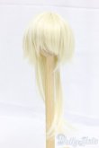 画像1: ウィッグ/7inch I-25-12-28-100-KD-ZI (1)