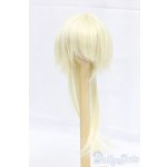 画像: ウィッグ/7inch I-25-12-28-100-KD-ZI