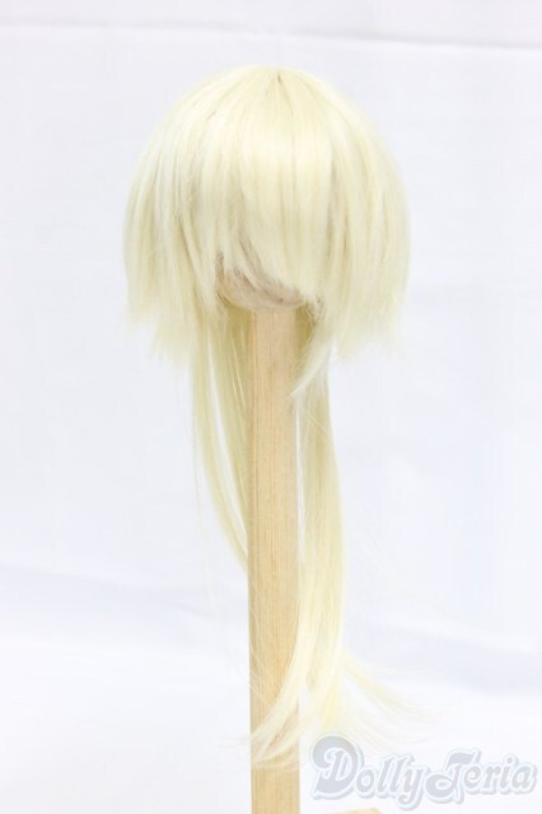 画像1: ウィッグ/7inch I-25-12-28-100-KD-ZI (1)