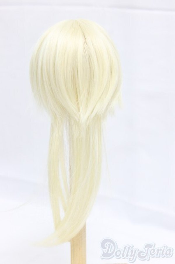 画像2: ウィッグ/7inch I-25-12-28-100-KD-ZI (2)