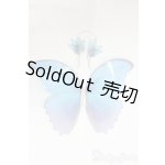 画像: SDM＆MSD/OF:小物/1/4　40ｃｍ　BJD　MJD　衣装　ドール用 I-25-12-21-251-KD-ZI