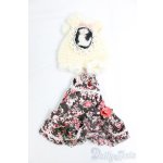 画像: 20cmサイズドール/OF:衣装 I-25-12-28-048-KD-ZI