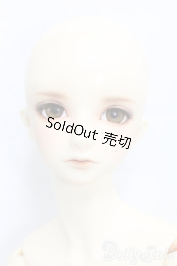 画像1: SDGrB/フルチョイスF-56/BJD　球体関節人形 I-25-12-28-255-KD-ZI (1)