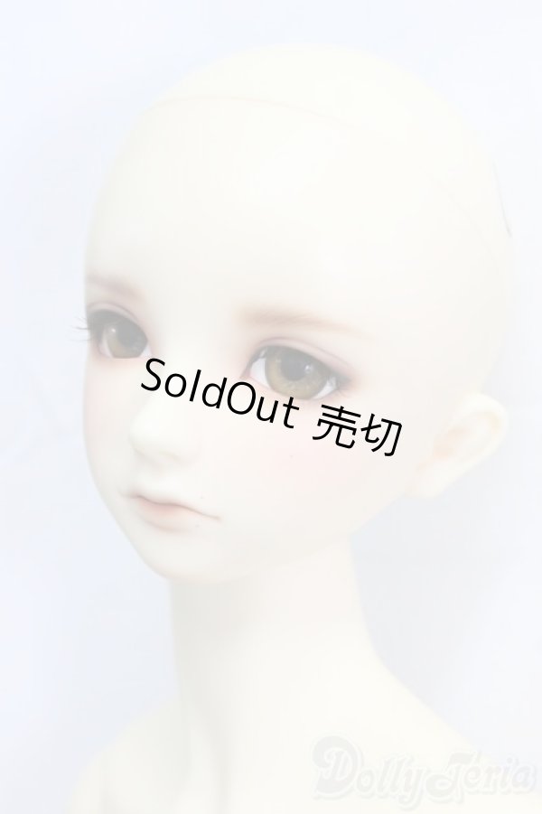 画像2: SDGrB/フルチョイスF-56/BJD　球体関節人形 I-25-12-28-255-KD-ZI (2)