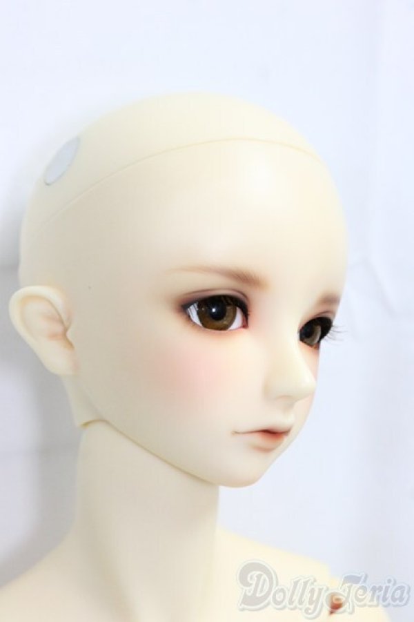 画像3: SDGrB/フルチョイスF-56/BJD　球体関節人形 I-25-12-28-255-KD-ZI (3)