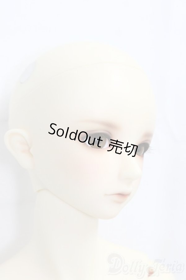 画像3: SDGrB/フルチョイスF-56/BJD　球体関節人形 I-25-12-28-255-KD-ZI (3)