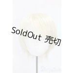 画像: 8-9inch/ウィッグ/インチ　BJD　MJD　ドール用 I-25-12-28-285-KD-ZI