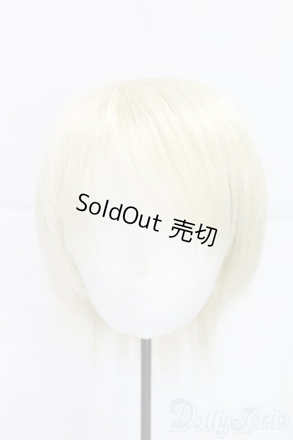 画像1: 8-9inch/ウィッグ/インチ　BJD　MJD　ドール用 I-25-12-28-285-KD-ZI (1)