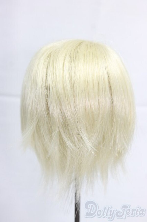 画像2: 8-9inch/ウィッグ/インチ　BJD　MJD　ドール用 I-25-12-28-285-KD-ZI (2)