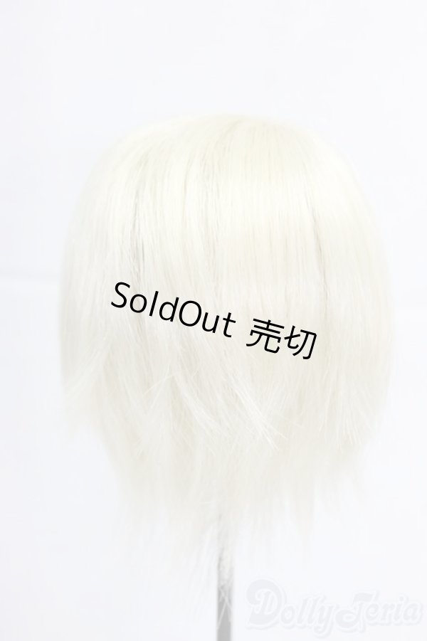 画像2: 8-9inch/ウィッグ/インチ　BJD　MJD　ドール用 I-25-12-28-285-KD-ZI (2)