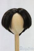画像1: 8-9inch/ウィッグ/インチ　BJD　MJD　ドール用 I-26-01-04-196-KD-ZI (1)