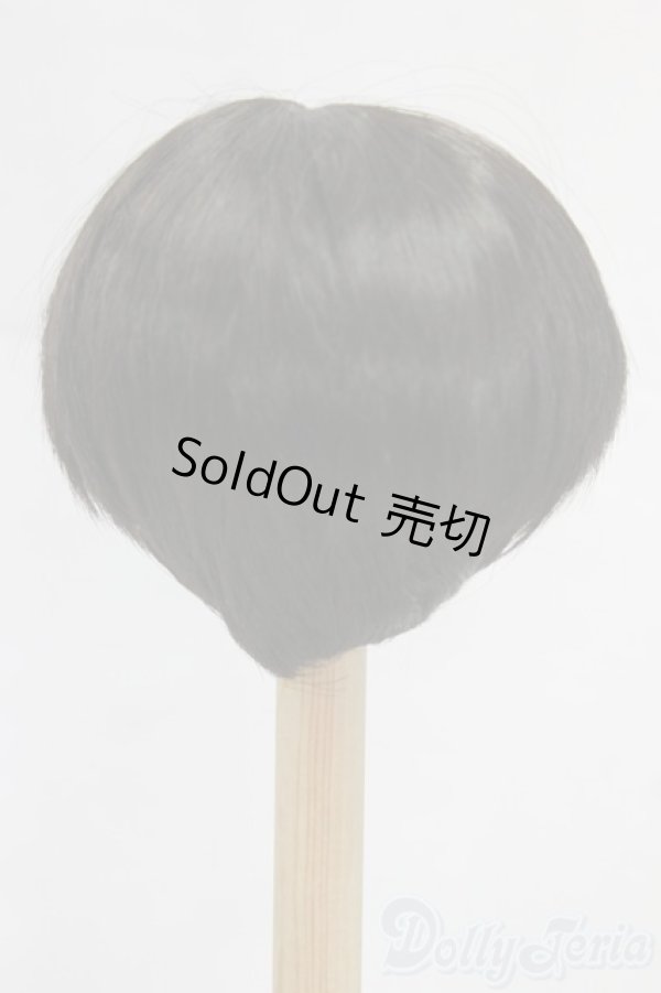 画像2: 8-9inch/ウィッグ/インチ　BJD　MJD　ドール用 I-26-01-04-196-KD-ZI (2)