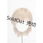 画像: 8-9inch/ウィッグ/インチ　BJD　MJD　ドール用 I-25-12-28-284-KD-ZI