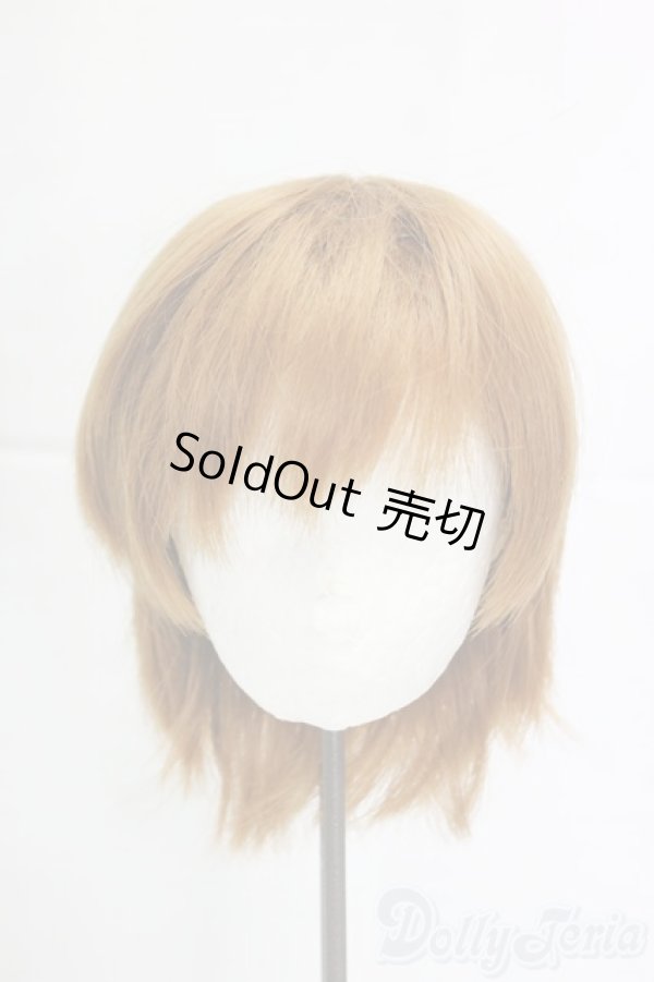 画像1: 8-9inch/ウィッグ/インチ　BJD　MJD　ドール用 I-25-12-28-284-KD-ZI (1)